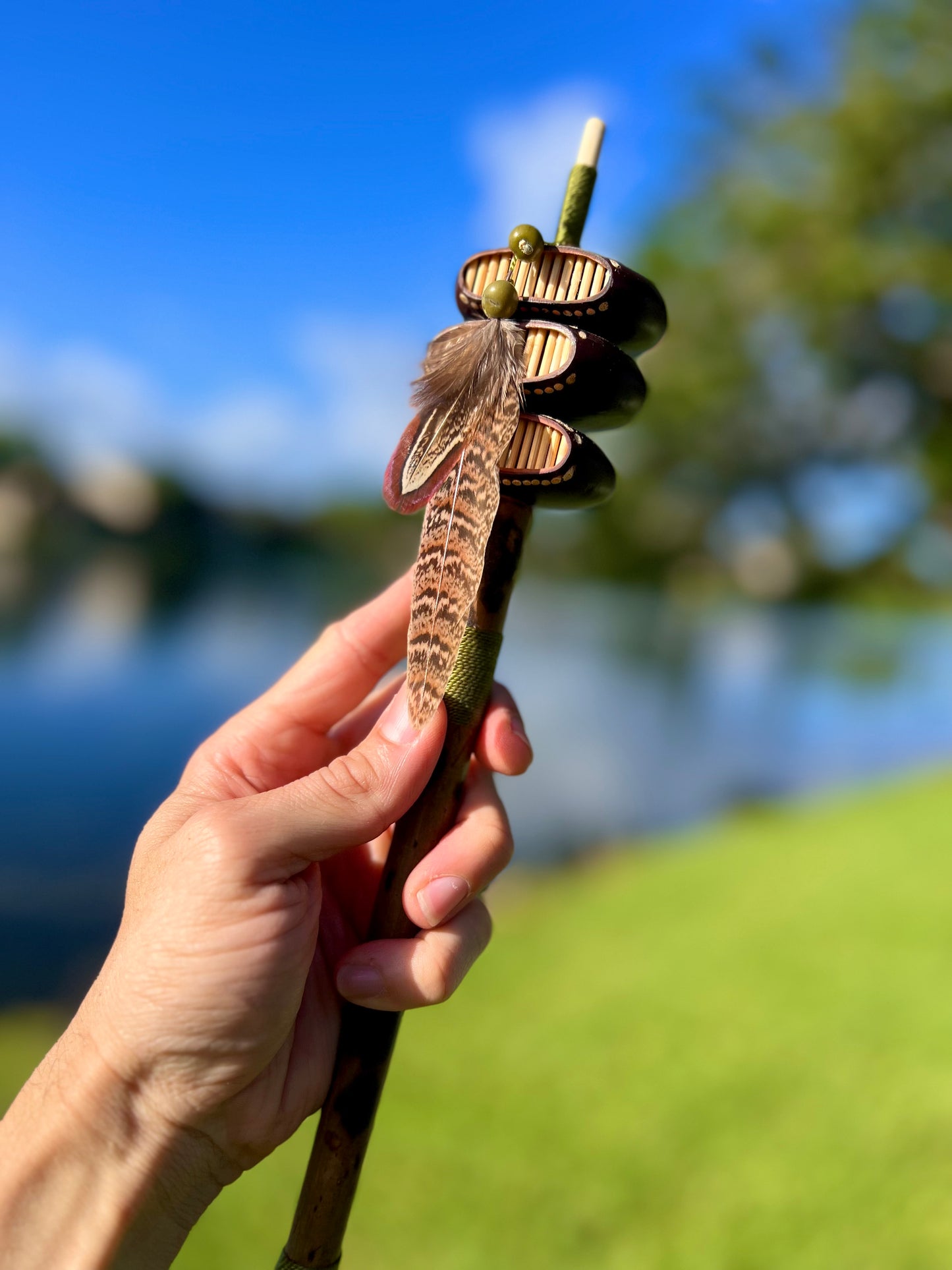 Natural Seeds rattle