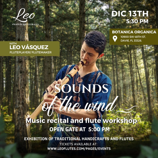 Sounds of the Wind - Music Recital and Workshop: Especial edition